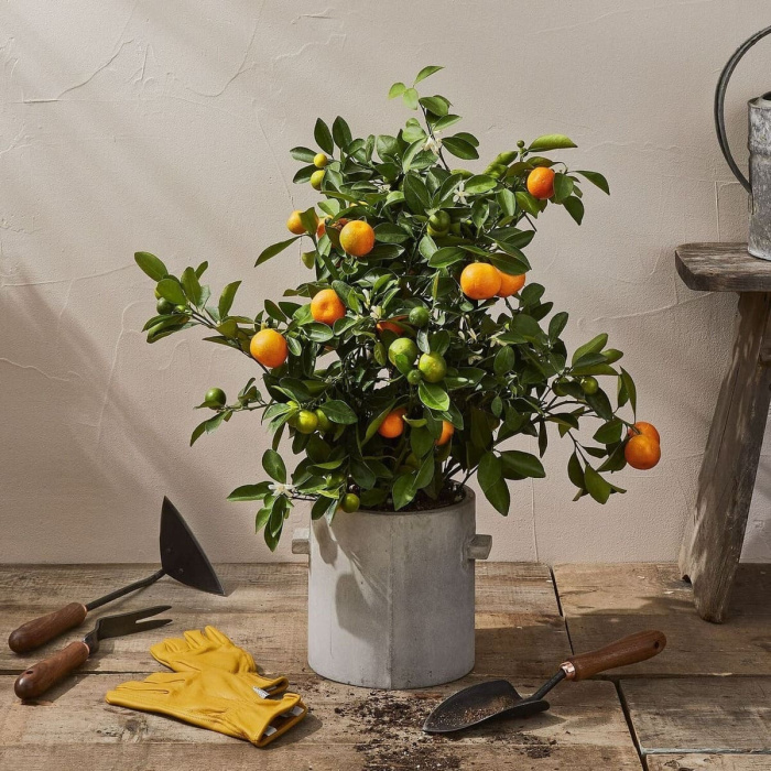 Кашпо Flowerpot Concrete Round Naturel by Marie Michielssen, Serax