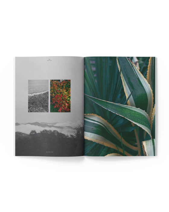 Журнал WoL, Way of Living