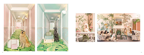 Книга Gray Malin. Dogs, Abrams Books