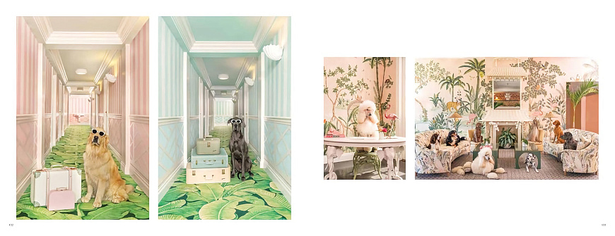 Книга Gray Malin. Dogs, Abrams Books