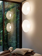 Настенный/Потолочный светильник Melt LED Surface Opal/Gold, Tom Dixon