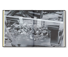 Книга Lonnie Holley, Rizzoli International Publications Inc.