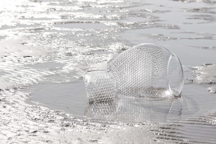 Ваза Bramble Flowerpot/Vase, Bolia