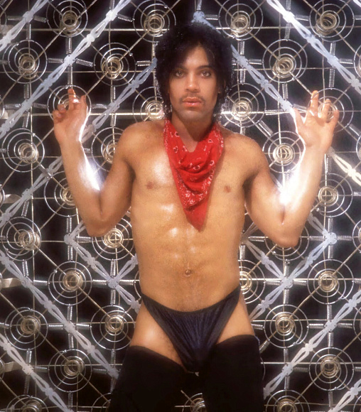 Книга Prince: Icon: The Definitive Photographic Collection, Acc Art Books