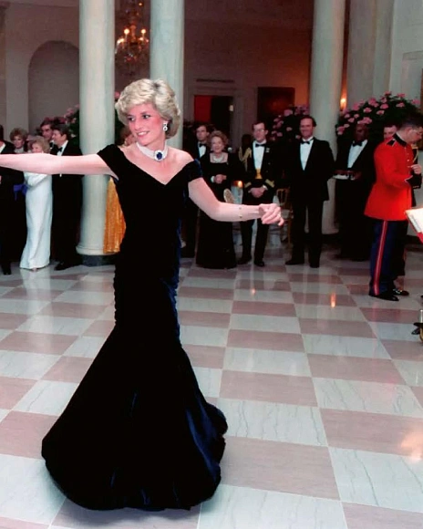 Книга Diana: A Life in Dresses, Acc Art Books