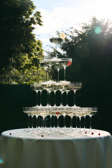 Набор из 4-х бокалов для шампанского Champagne Coupe Anemone Vaniglia Midnight Flowers by Marni, Serax