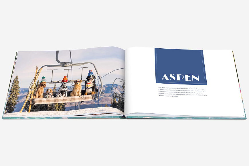 Книга Gray Malin. Dogs, Abrams Books