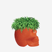 Кашпо Mexico Terracot, Qeeboo