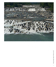 Книга Toshio Shibata: Japan, Prestel Publishing