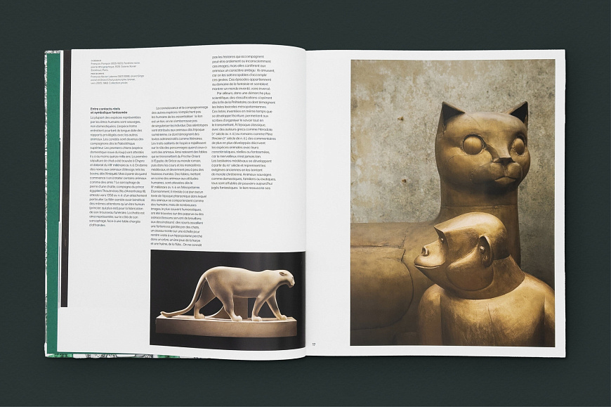 Книга Cartier: Nature Sauvage, Flammarion