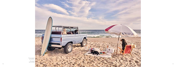 Книга Gray Malin. Dogs, Abrams Books