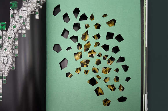 Книга Cartier: Nature Sauvage, Flammarion