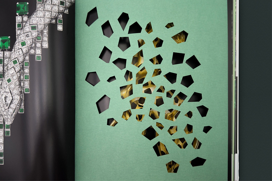 Книга Cartier: Nature Sauvage, Flammarion