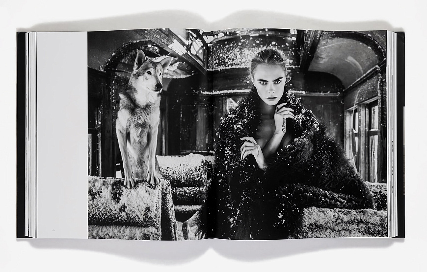 Книга David Yarrow: The Collection, Rizzoli International Publications Inc.