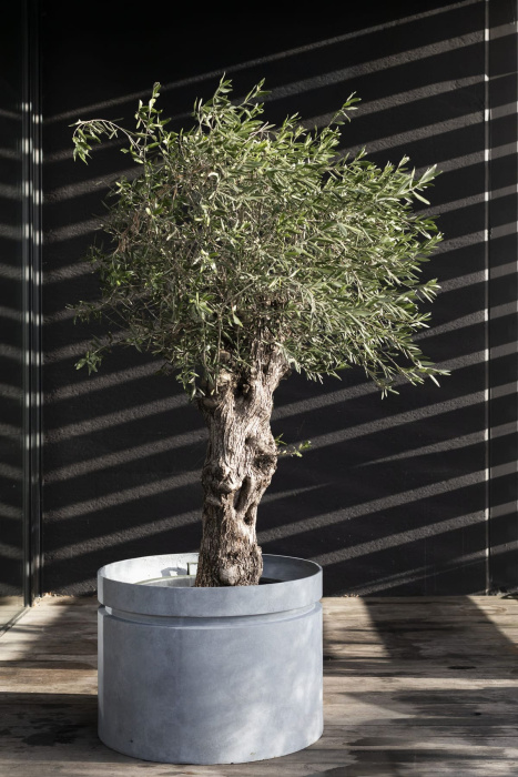 Кашпо Planter Grey, Serax