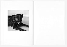 Книга The Shabbiness of Beauty, MACK