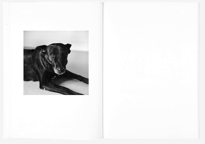 Книга The Shabbiness of Beauty, MACK