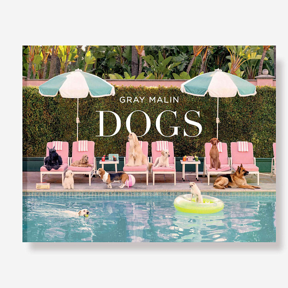Книга Gray Malin. Dogs, Abrams Books