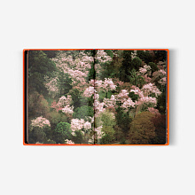 Книга Silk road by Kishin Shinoyama (Fashion eye), Louis Vuitton