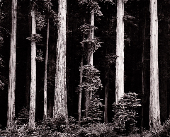 Книга Ansel Adams. 400 Photographs, 