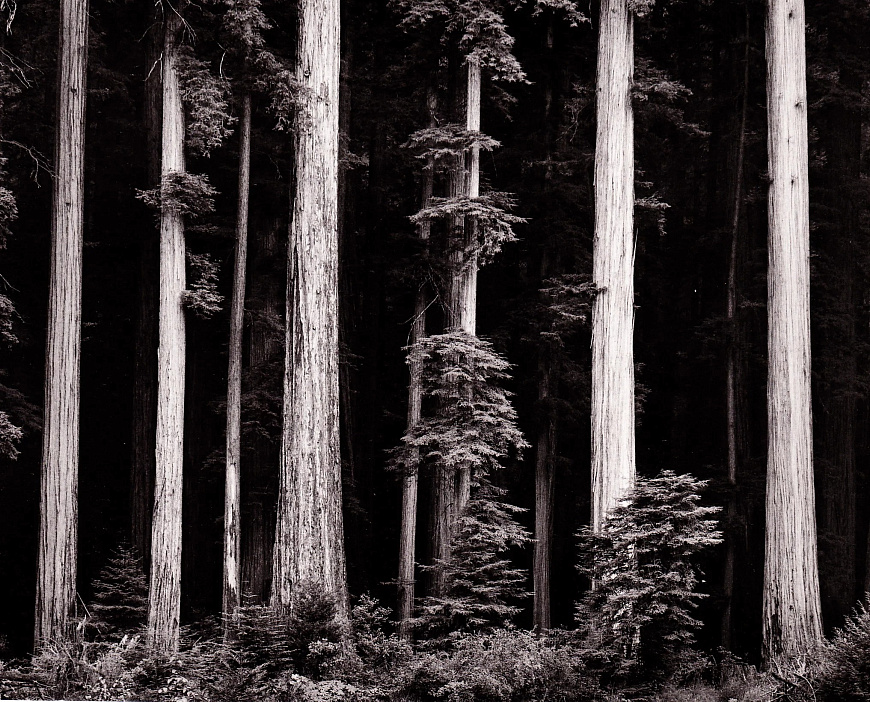 Книга Ansel Adams. 400 Photographs, 