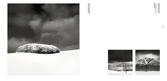 Книга Forms of Japan: Michael Kenna, Prestel Publishing