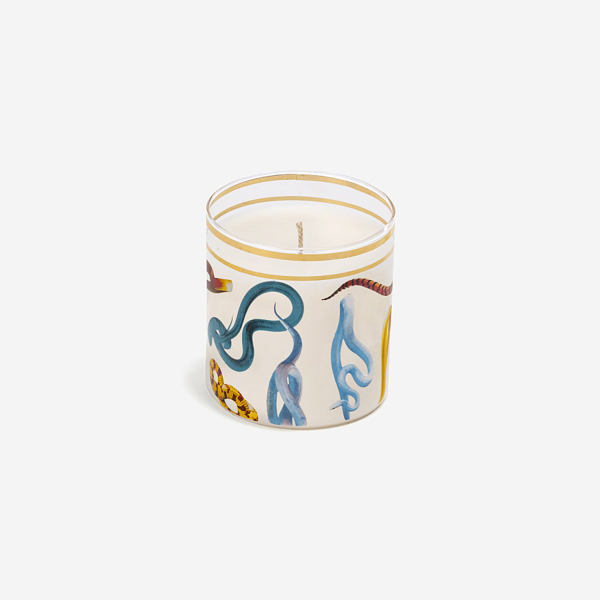 Свеча Glass Candle Snakes, Seletti