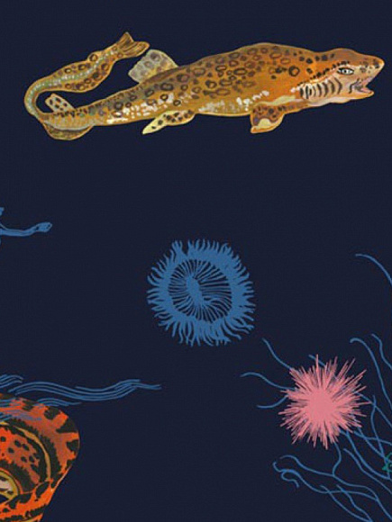 Обои Sous la mer, Moustache