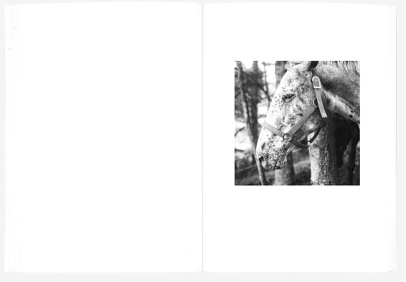 Книга The Shabbiness of Beauty, MACK