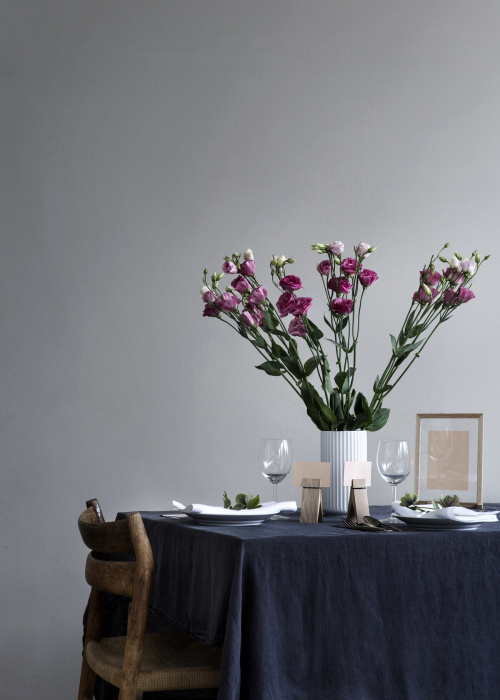 Зажим Pinch, Moebe