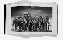 Книга David Yarrow: The Collection, Rizzoli International Publications Inc.