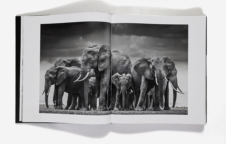Книга David Yarrow: The Collection, Rizzoli International Publications Inc.
