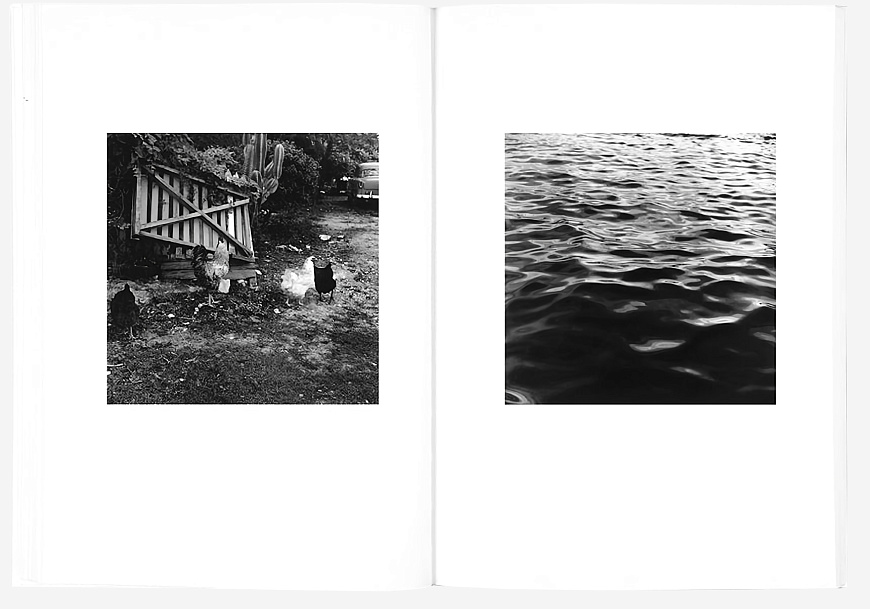 Книга The Shabbiness of Beauty, MACK