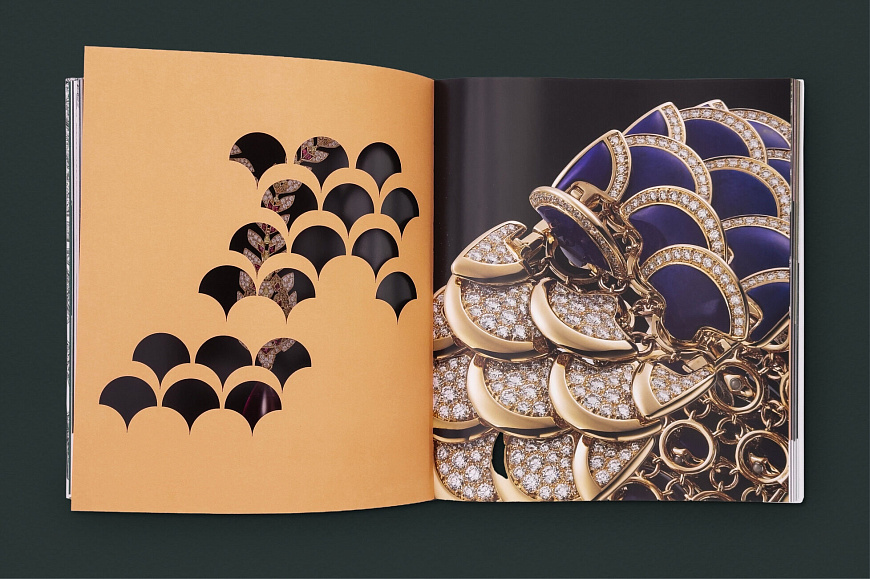 Книга Cartier: Nature Sauvage, Flammarion