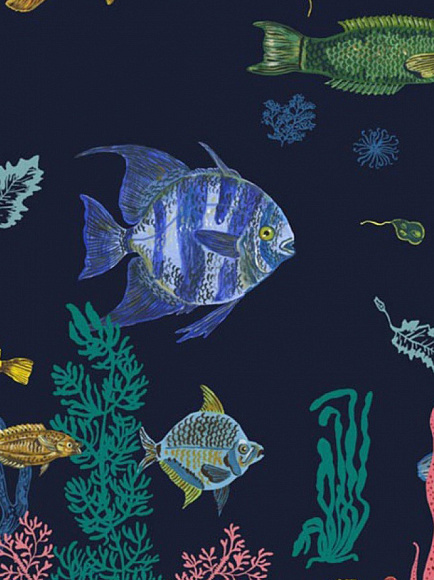 Обои Sous la mer, Moustache