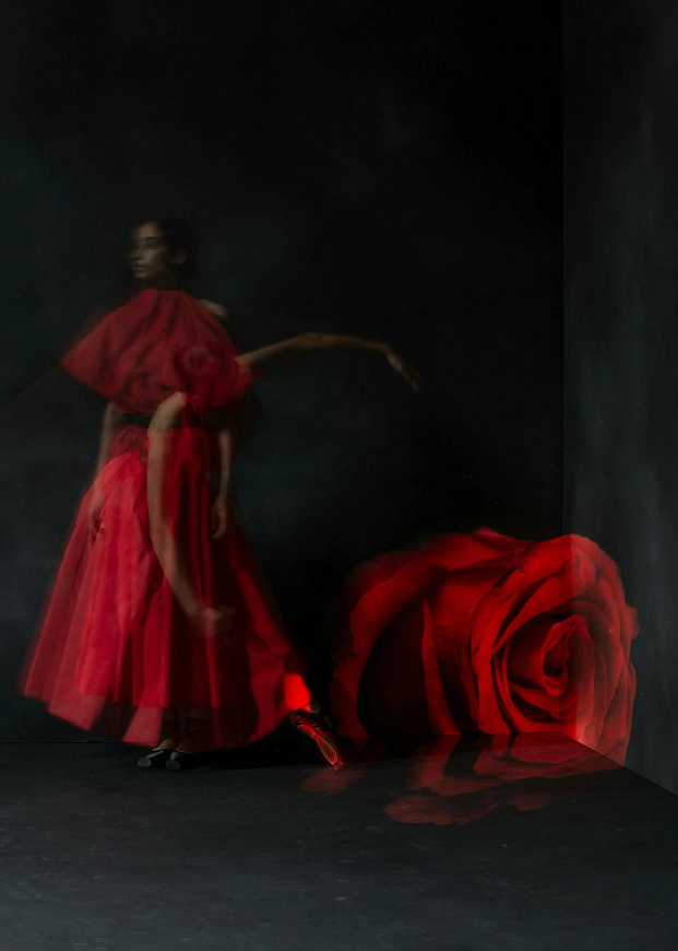 Книга Dior by Yuriko Takagi, Rizzoli International Publications Inc.