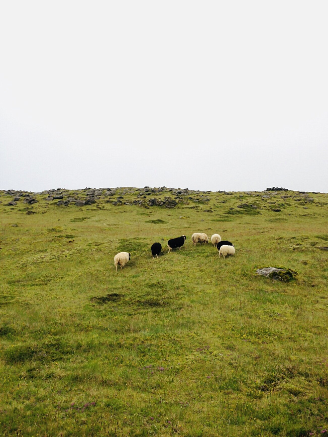 Постер №1, Iceland в раме, ten(10)posters