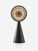 Настольная лампа Pose Portable Kelp, Tom Dixon