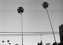 Книга Cereal City Guide: Los Angeles, 