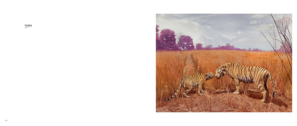 Книга Eremozoic by Jim Naughten, Hatje Cantz