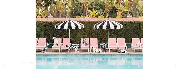 Книга Gray Malin. Dogs, Abrams Books