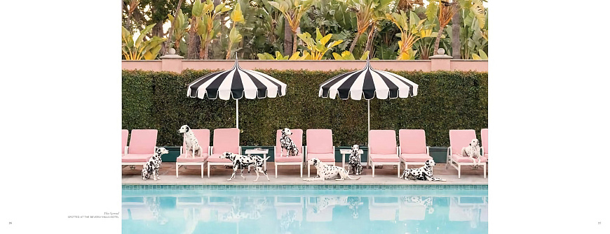 Книга Gray Malin. Dogs, Abrams Books