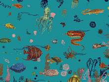 Обои Sous la mer, Moustache