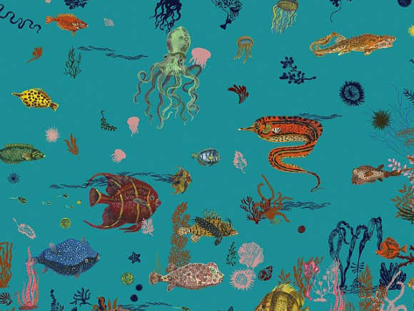 Обои Sous la mer, Moustache