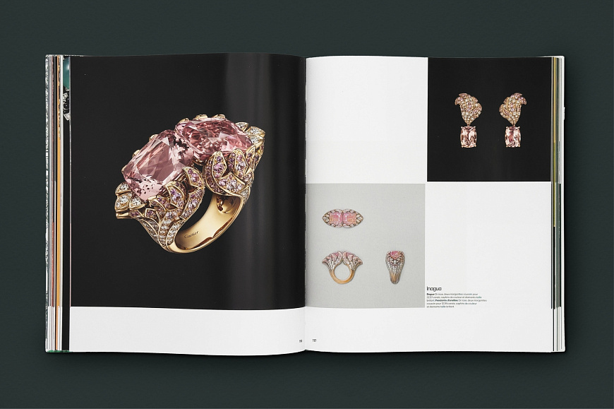 Книга Cartier: Nature Sauvage, Flammarion