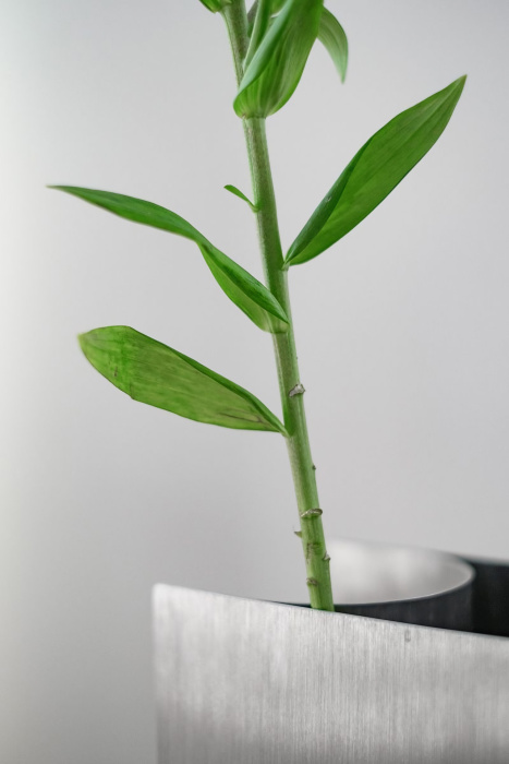 Декоративная ваза 51° – 0° PAPER, ARCHIPÉLAGO