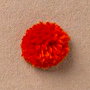 colorpic__img