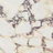 colorpic__img