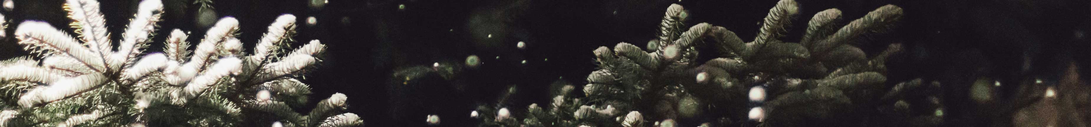 catalog__category__img