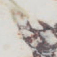 colorpic__img